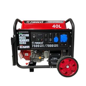 موتور برق بنزینی 17 اسب بخار  فیروکسی مدل fsg12000e2 v rc